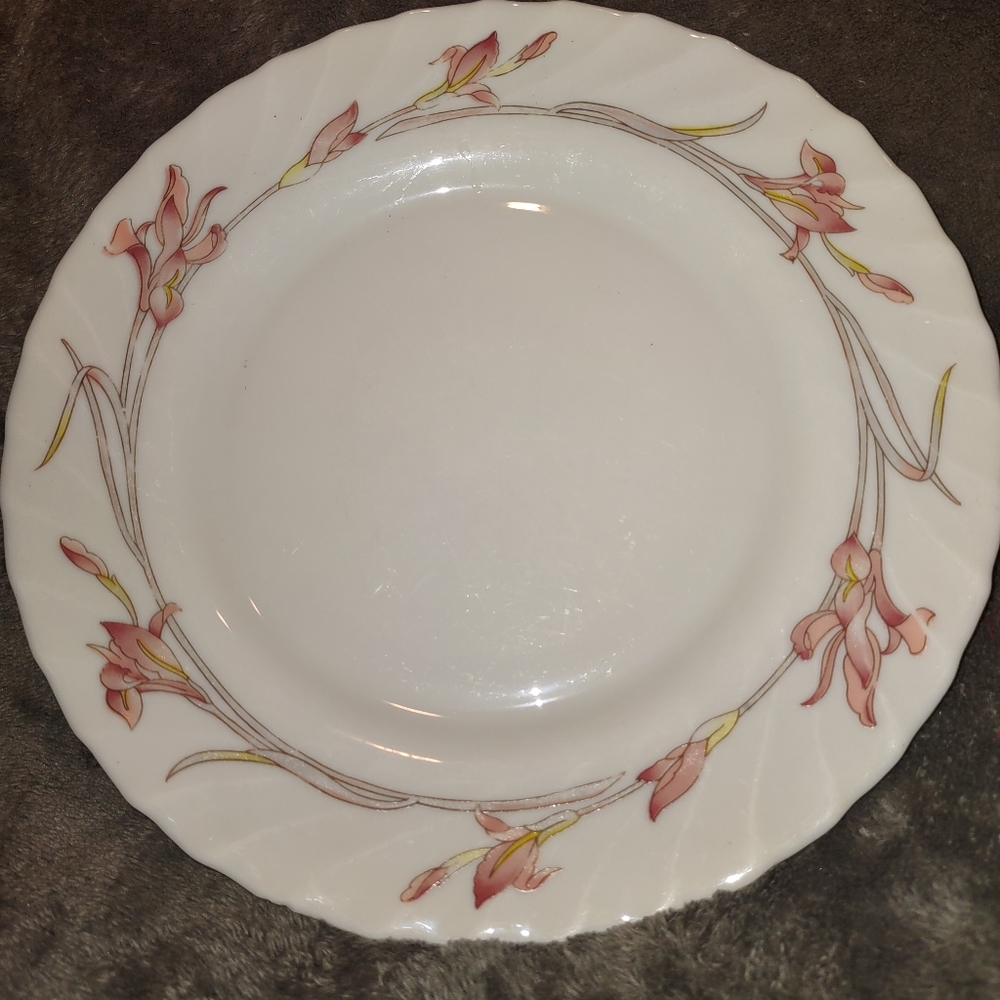 1970s Arcopal France Dinner Plate